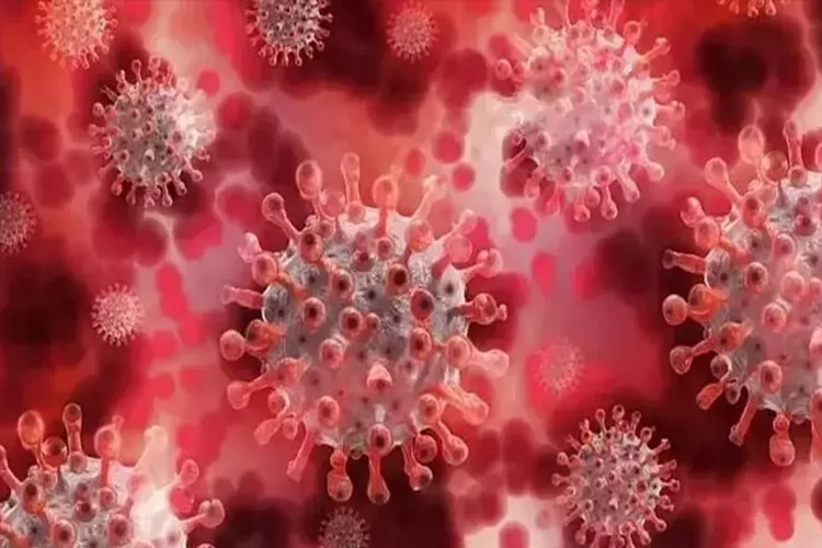 Türkiye'de Koronavirüs Eris varyantı görüldü mü? Bilim Kurulu Üyesi Şener'den açıklama