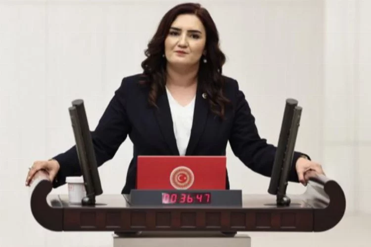 CHP'li Milletvekili Sevda Erdan Kılıç’tan seçmene sandık çağrısı