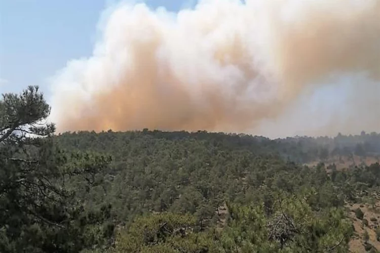 Denizli'de orman yangını: Havadan ve karadan müdahale devam ediyor