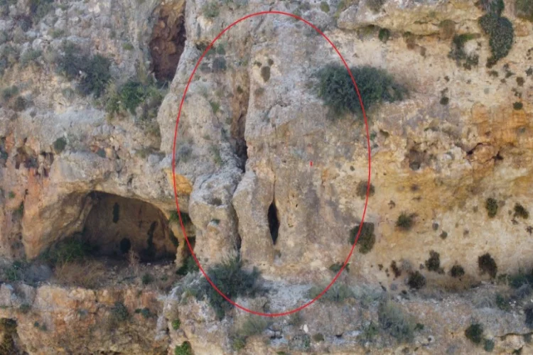 Mersin'de ayıyı andıran kaya 