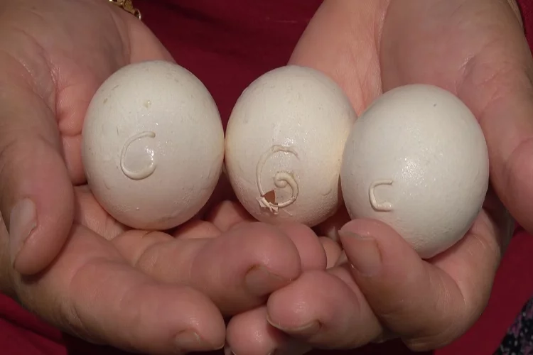 Yumurtanın üzerinde tavuğun sahibinin isim ve soy isminin baş harflerinin olduğu iddiası